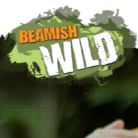 Beamish Wild Adventure Park 1079505 Image 6